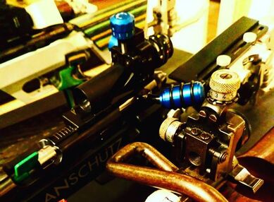The action and sights on a smallbore target rifle
